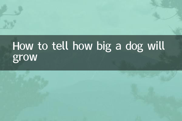 How to tell how big a dog will grow