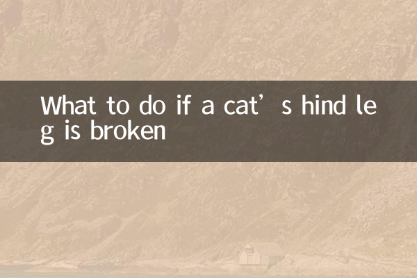 O que fazer se a pata traseira de um gato estiver quebrada