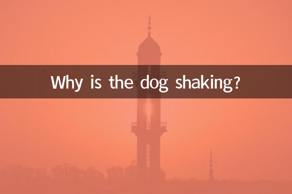 কুকুর কাঁপছে কেন?