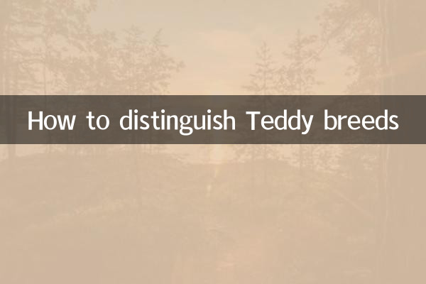 টেডি জাতগুলিকে কীভাবে আলাদা করা যায়