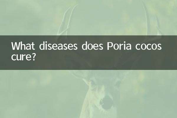 Poria cocos چه بیماری هایی را درمان می کند؟