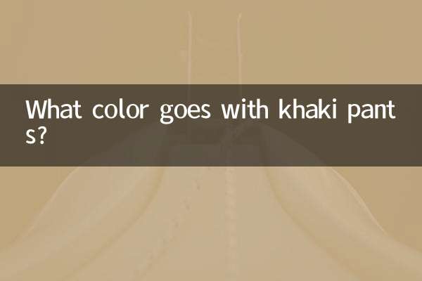 খাকি প্যান্টের সাথে কি রঙ যায়?