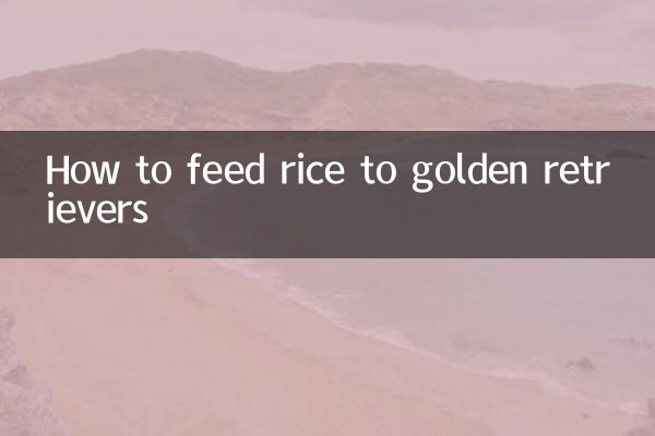 Как кормить рисом золотистых ретриверов