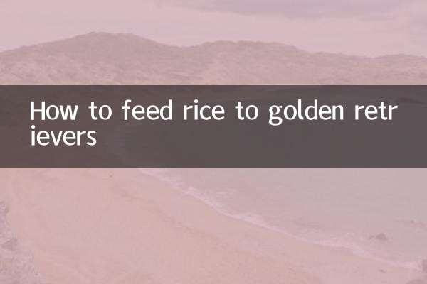 How to feed rice to golden retrievers