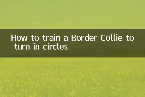 حلقوں میں بدلنے کے لئے بارڈر کولی کو کس طرح تربیت دیں