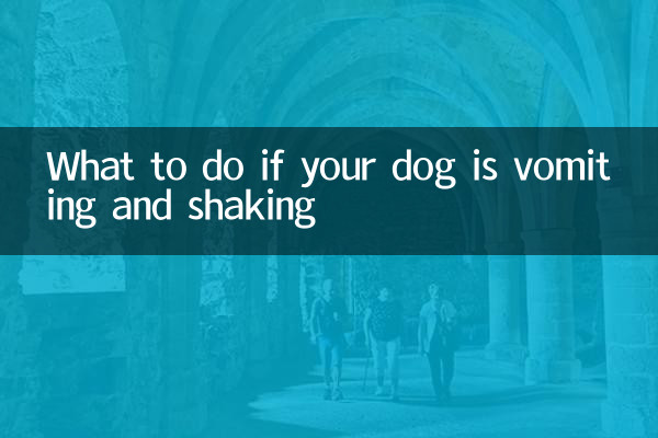Que faire si votre chien vomit et tremble