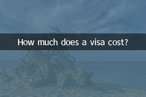ビザの費用はいくらですか?