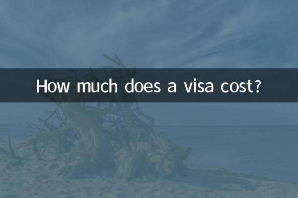 비자 비용은 얼마입니까?