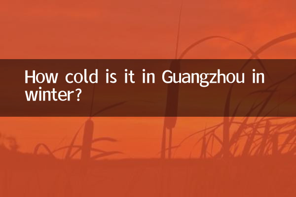 ¿Qué frío hace en Guangzhou en invierno?