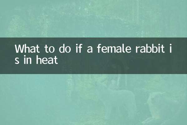 암컷 토끼가 발정기 상태라면 어떻게 해야 할까요?