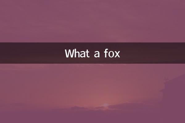 কি শেয়াল