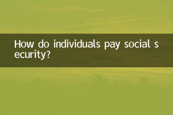 개인은 어떻게 사회 보장을 지불합니까?