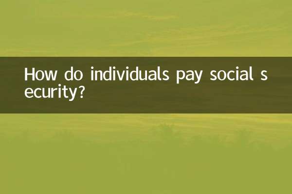 개인은 어떻게 사회 보장을 지불합니까?