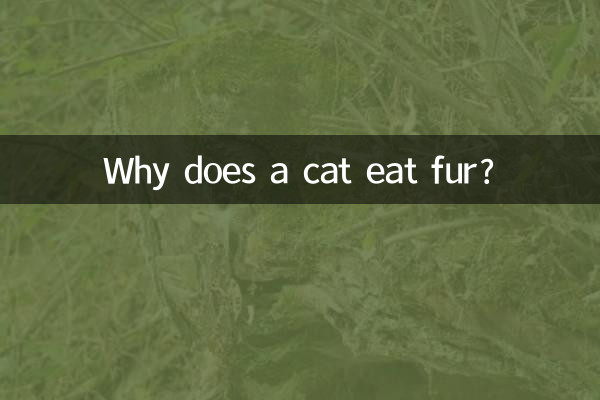 Why does a cat eat fur?