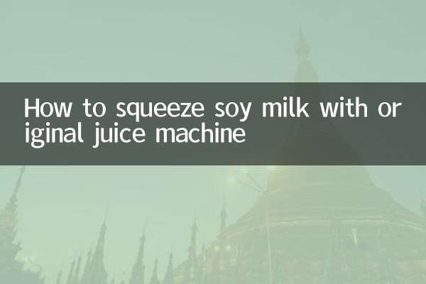 How to squeeze soy milk with original juice machine