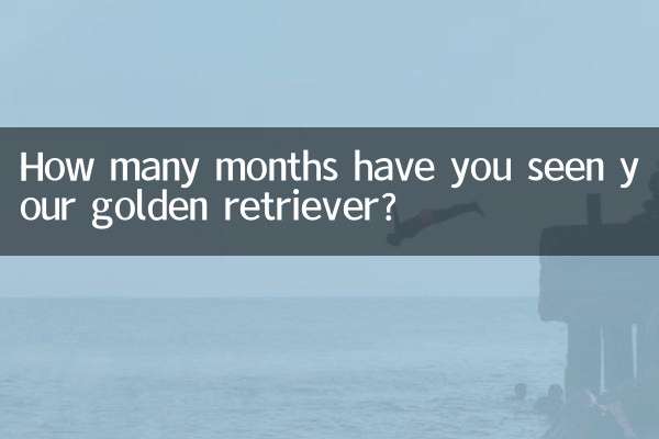 怎么看金毛的几个月了