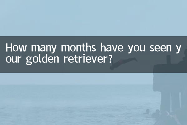 怎么看金毛的几个月了