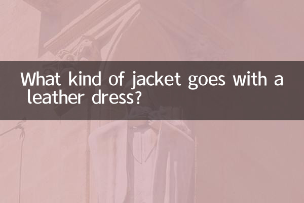 चमड़े की पोशाक के साथ किस प्रकार का जैकेट मेल खाता है?