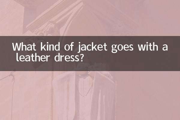चमड़े की पोशाक के साथ किस प्रकार का जैकेट मेल खाता है?