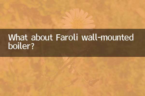 Faroli প্রাচীর-মাউন্ট বয়লার সম্পর্কে কি?