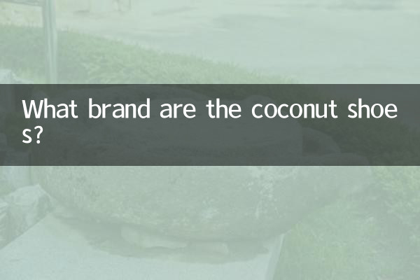 What brand are the coconut shoes?