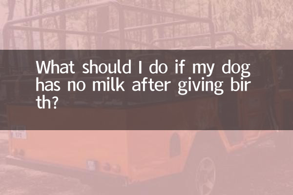 犬が出産後にミルクが出ない場合はどうすればよいですか?