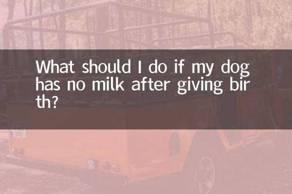 狗生完崽沒有奶怎麼辦