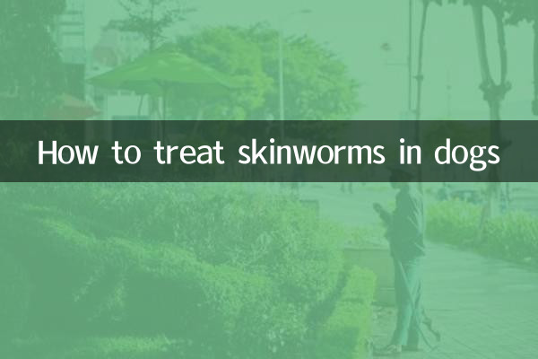 Como tratar vermes cutâneos em cães
