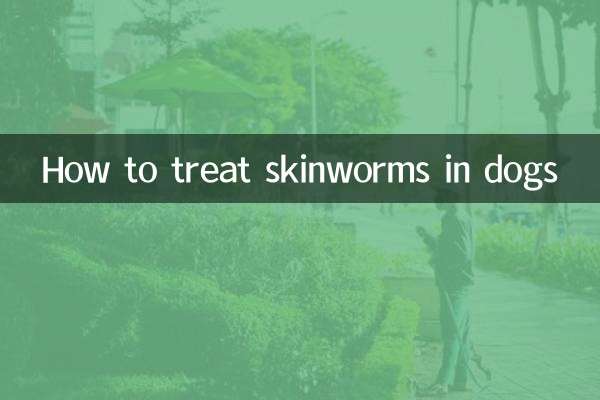 Como tratar vermes cutâneos em cães