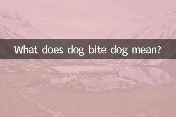狗咬狗是什么意思