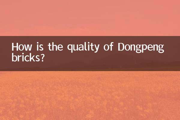 Quelle est la qualité des briques Dongpeng ?