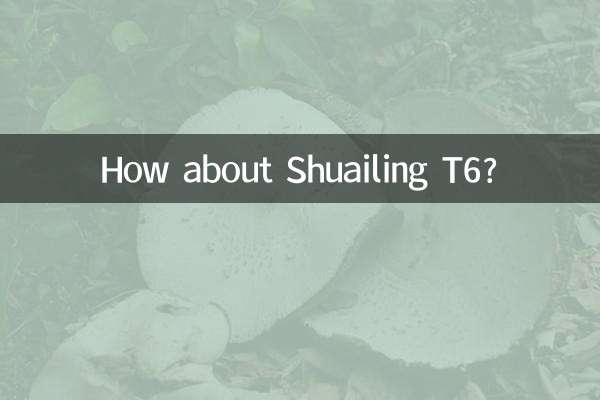 T6 کو shuailing کے بارے میں کیا خیال ہے؟