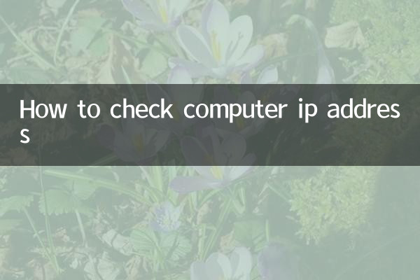 컴퓨터 IP 주소를 확인하는 방법