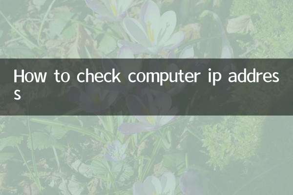 怎麼看電腦的ip地址的