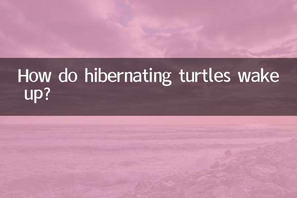 동면 중인 거북이는 어떻게 깨어날까?