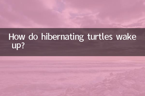 كيف تستيقظ السلاحف السباتية؟