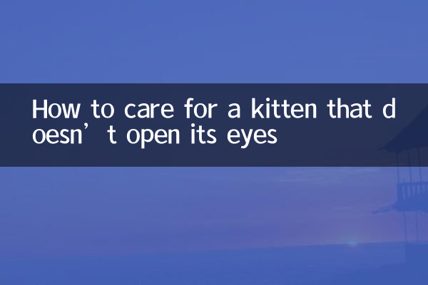 눈을 뜨지 않는 새끼 고양이를 돌보는 방법