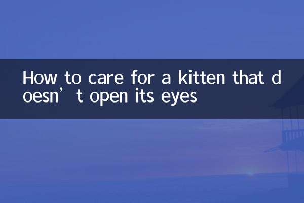 چگونه از بچه گربه ای که چشمانش را باز نمی کند مراقبت کنیم