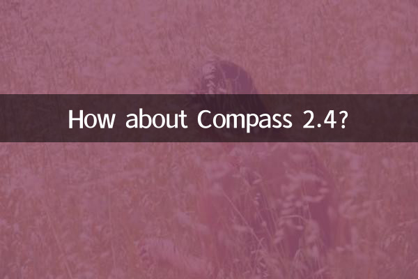 2.4的指南者怎麼樣