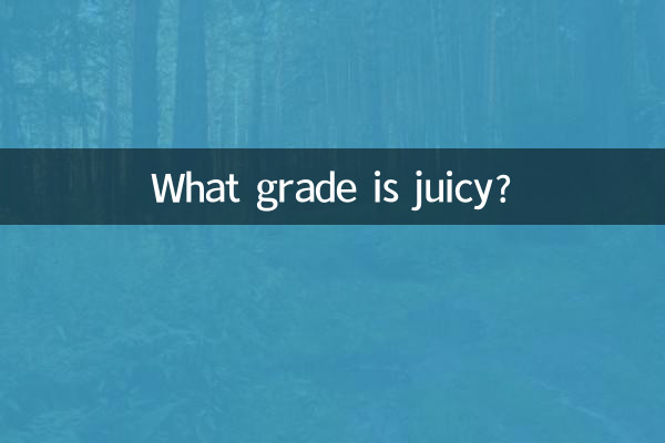 쥬시한 등급은 몇등급인가요?