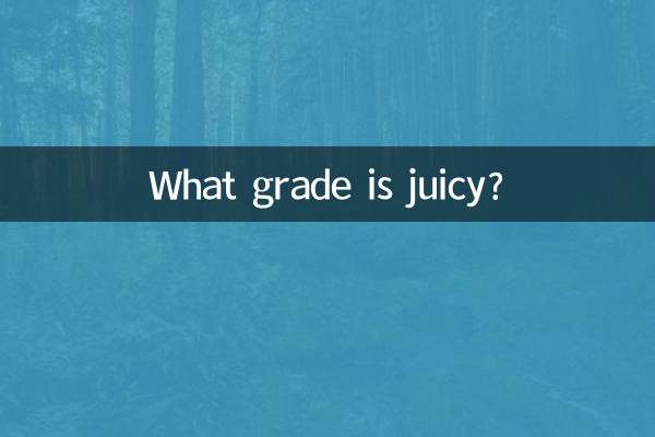 쥬시한 등급은 몇등급인가요?