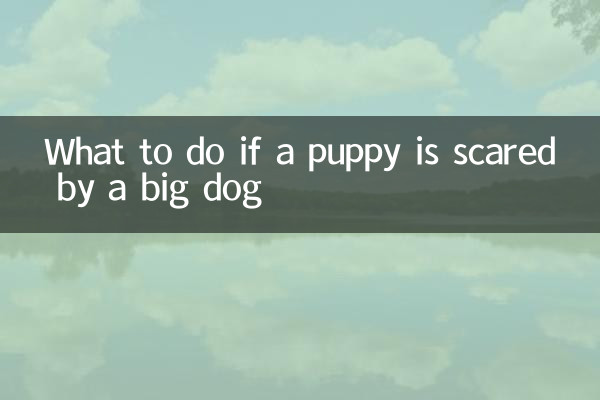 子犬が大型犬を怖がったらどうするか