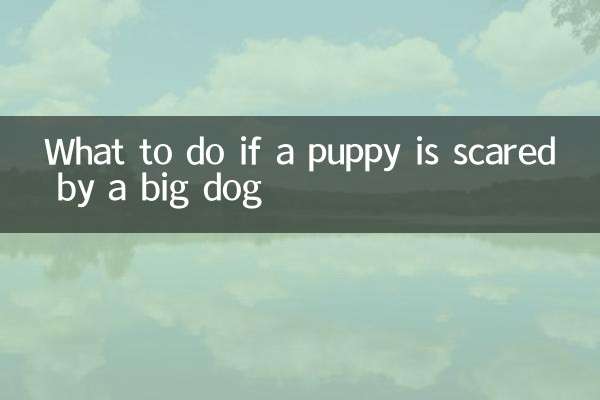 Cosa fare se un cucciolo è spaventato da un grosso cane