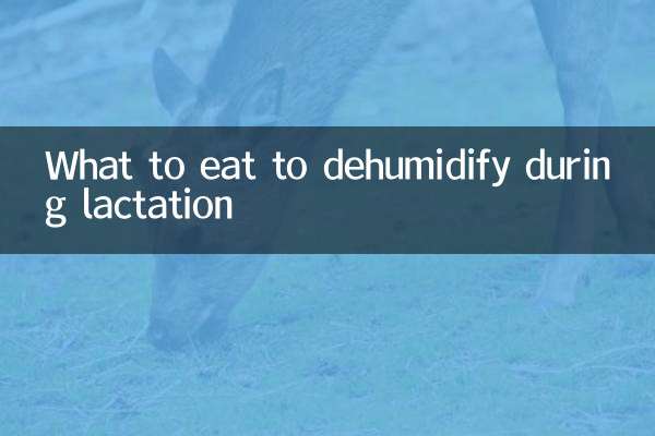 ماذا نأكل لتجفيف الرطوبة أثناء الرضاعة