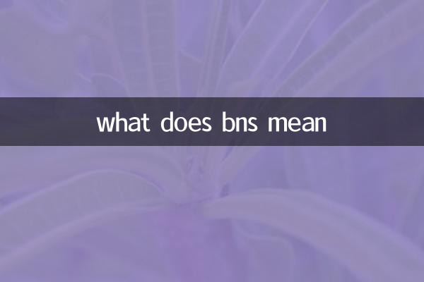 bns का क्या मतलब है