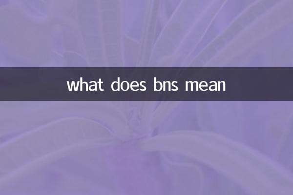 o que significa bns