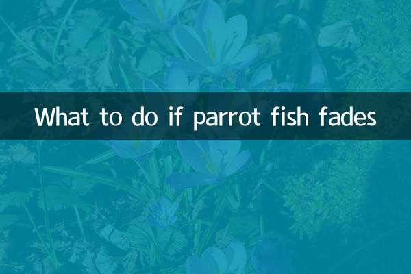 طوطے کی مچھلی ختم ہوجاتی ہے تو کیا کریں