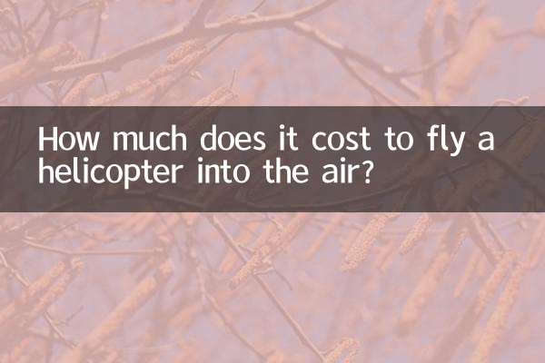 বাতাসে হেলিকপ্টার ওড়াতে কত খরচ হয়?