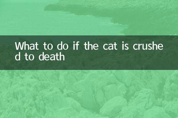 What to do if the cat is crushed to death