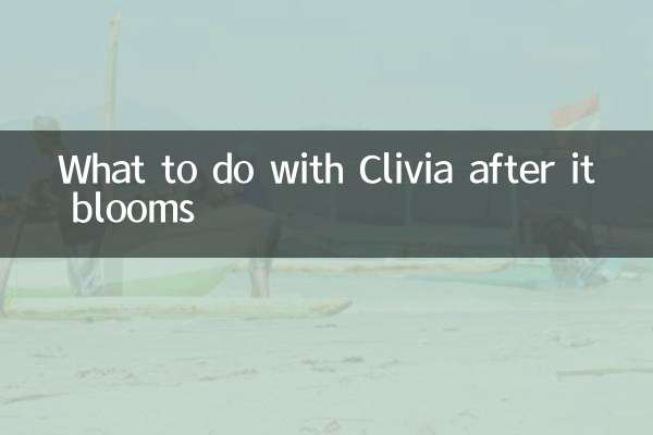 Was tun mit Clivia nach der Blüte?